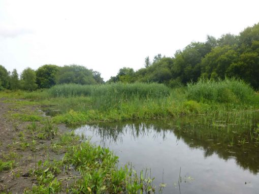 Bourne Valley Sustainable Drainage 2000-present day