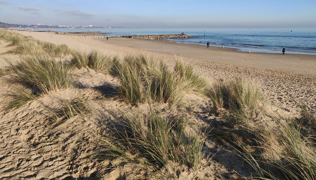 ICE Coastal Management Conference 2025