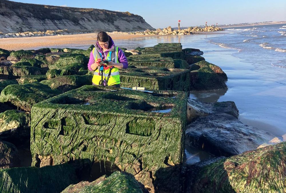 The Long Groyne – One Year On