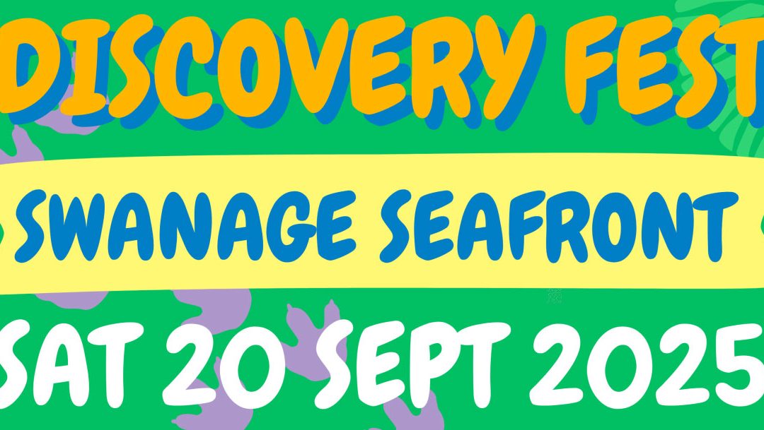 Discovery Fest 2025